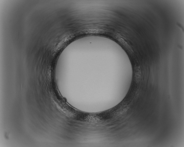 X0000100860207200807111301