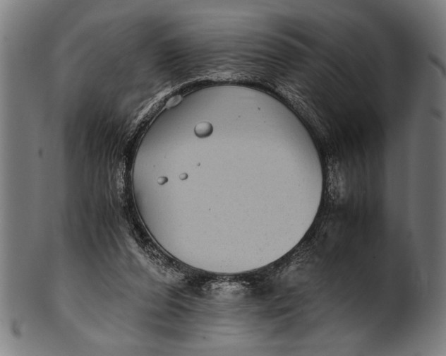 X0000100860208200807111301