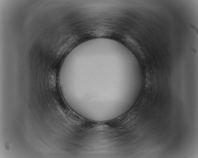 X0000100860210200807111301