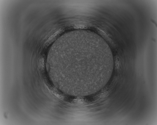 X0000100860211200807111301