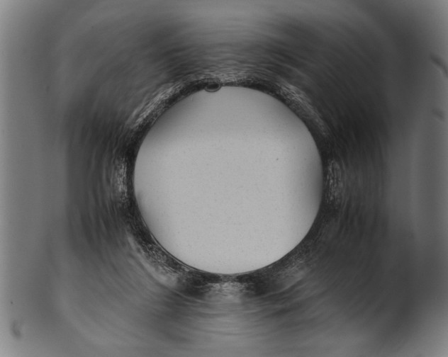 X0000100860212200807111301