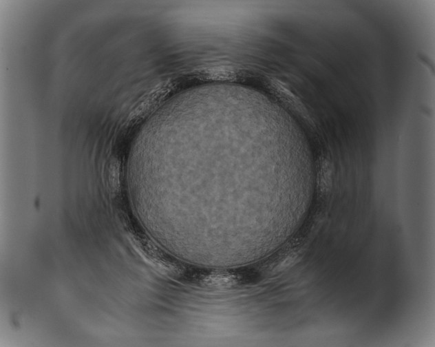 X0000100860213200807111301