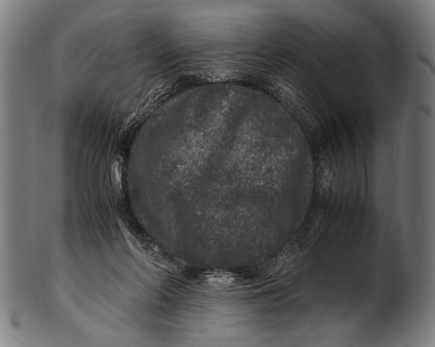 X0000100860214200807111301