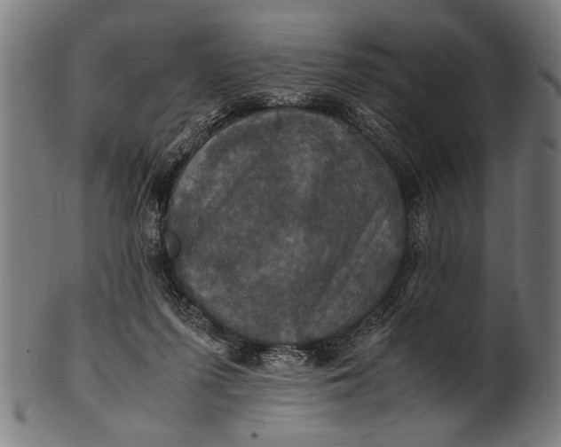 X0000100860215200807111301