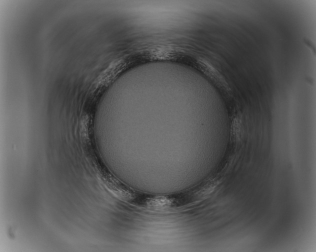 X0000100860217200807111301