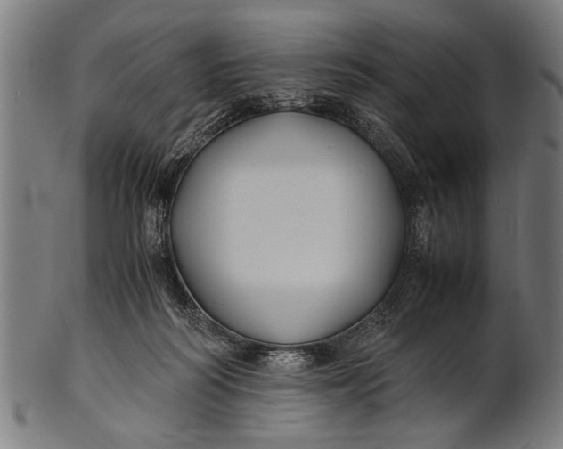 X0000100860218200807111301