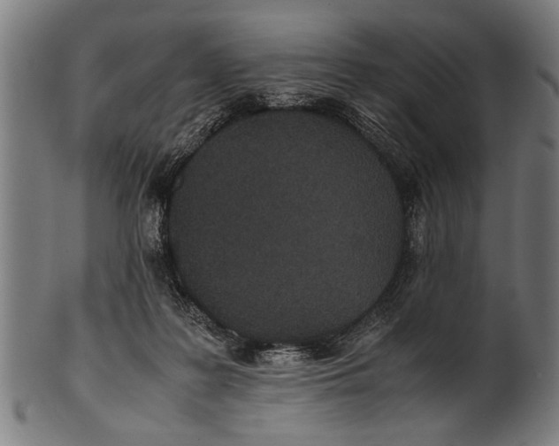 X0000100860219200807111301