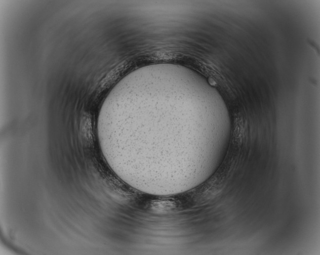 X0000100860220200807111301