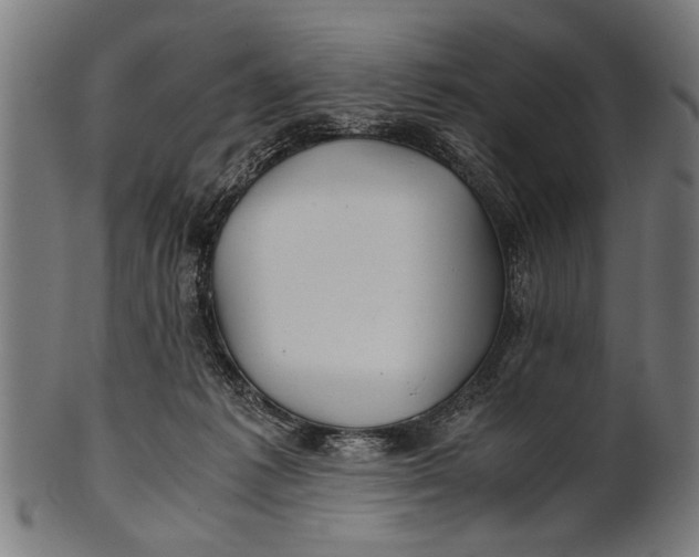 X0000100860221200807111301