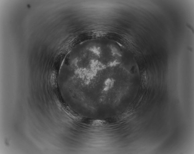 X0000100860222200807111301