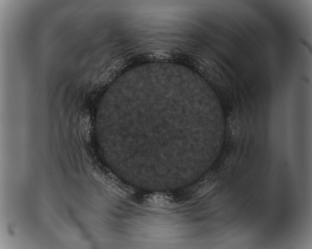 X0000100860223200807111301