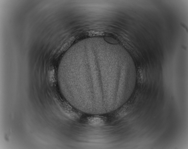 X0000100860224200807111301