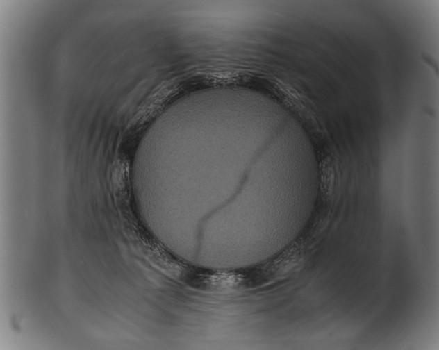 X0000100860225200807111301