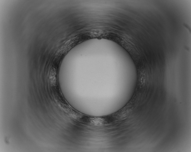 X0000100860226200807111301