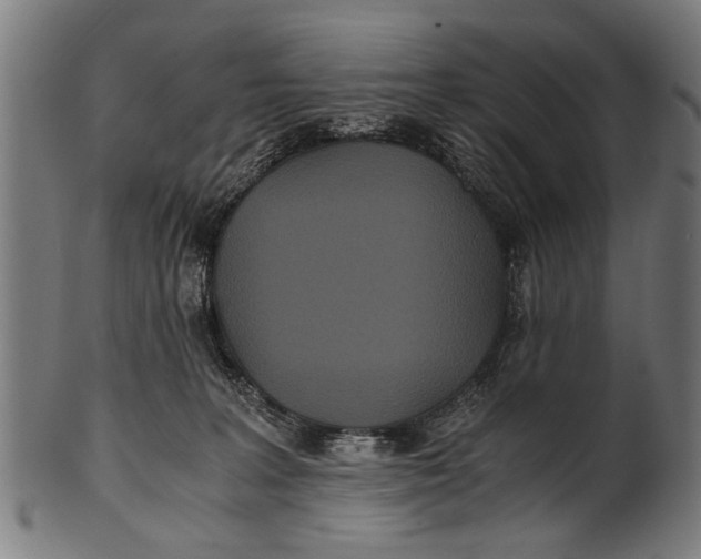 X0000100860227200807111301