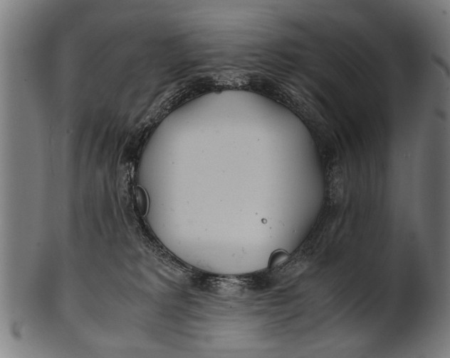 X0000100860229200807111301