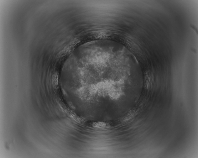 X0000100860230200807111301