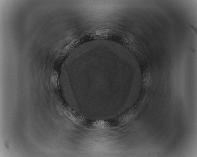 X0000100860231200807111301