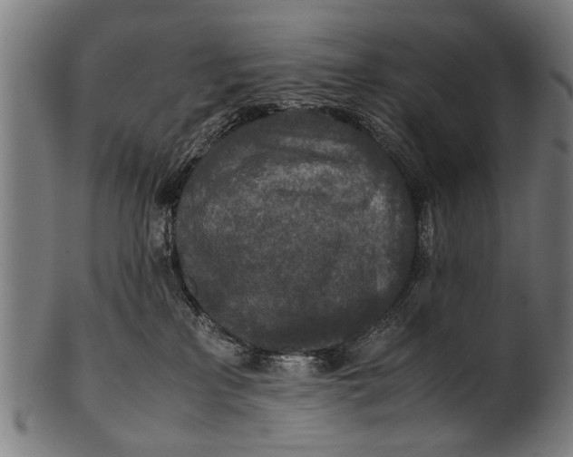 X0000100860233200807111301