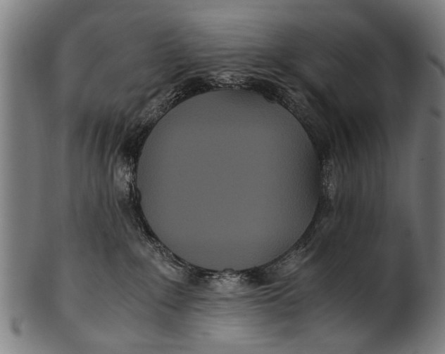 X0000100860235200807111301