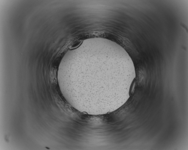 X0000100860236200807111301