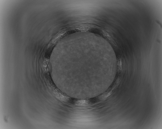 X0000100860237200807111301