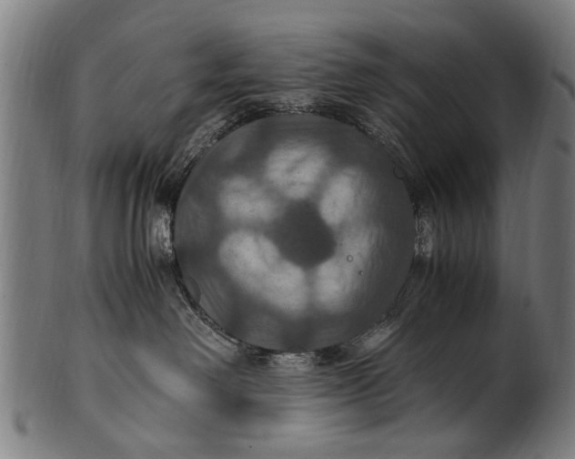 X0000100860238200807111301