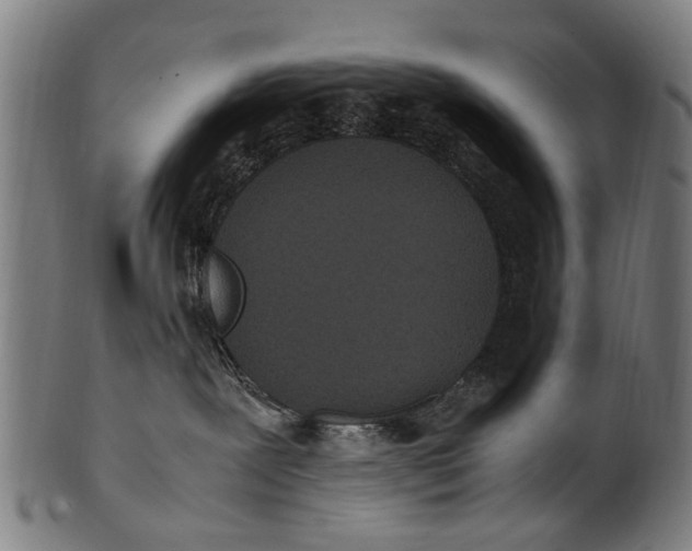 X0000100860239200807111301