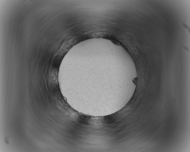 X0000100860240200807111301