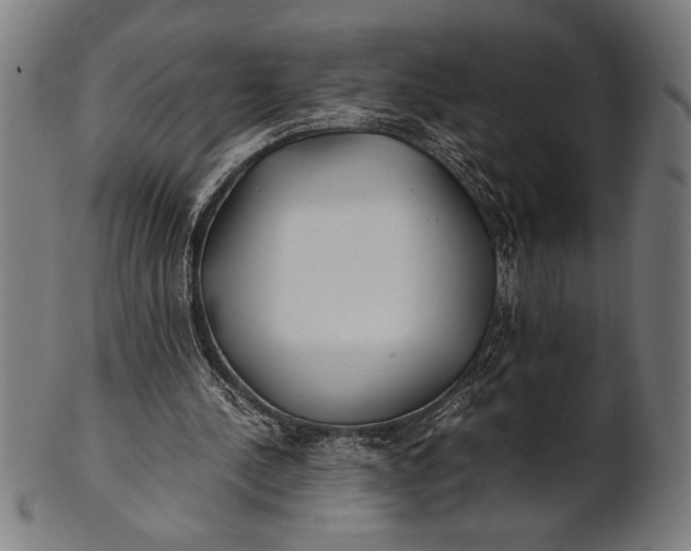 X0000100860244200807111300