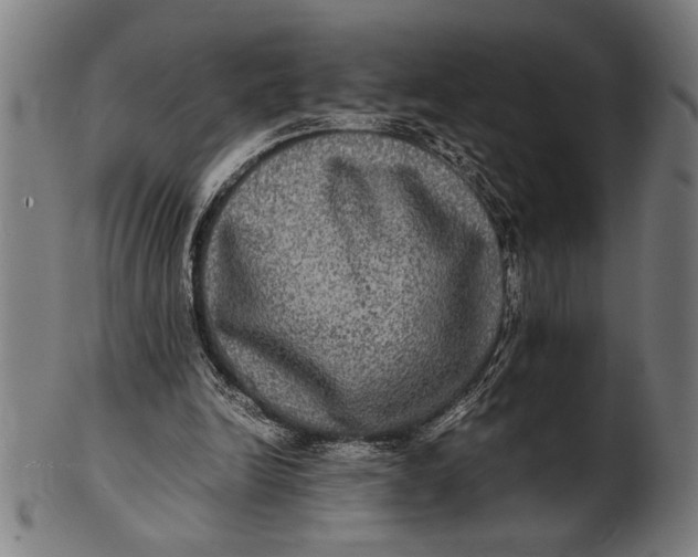 X0000100860246200807111300