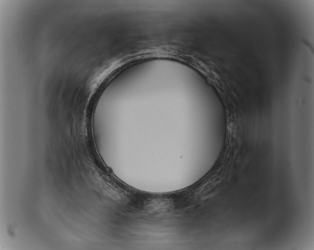 X0000100860248200807111300