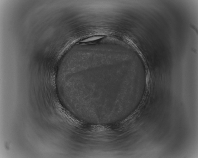 X0000100860249200807111300