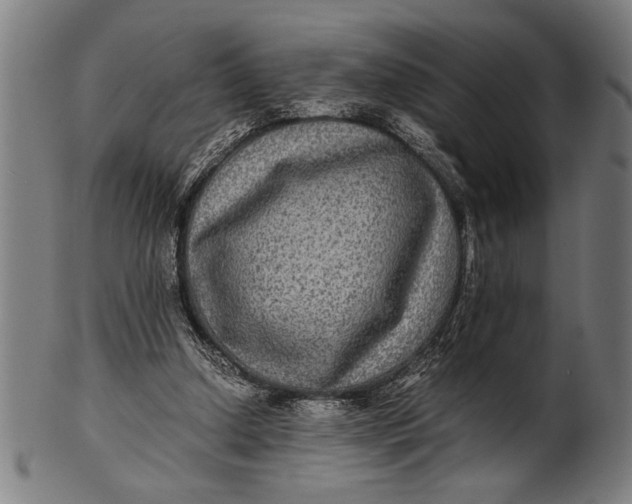 X0000100860250200807111300