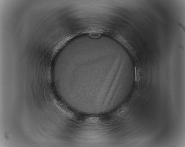 X0000100860252200807111300