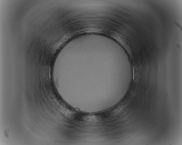 X0000100860253200807111300