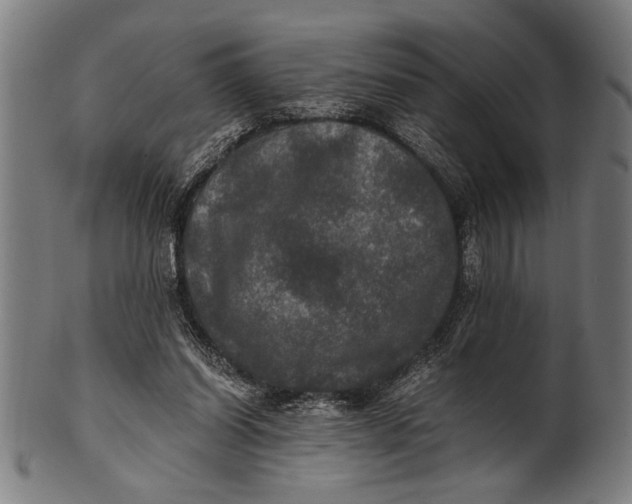 X0000100860254200807111300