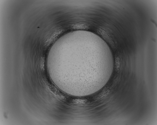 X0000100860255200807111300