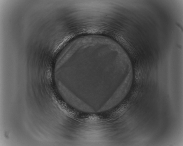 X0000100860256200807111300