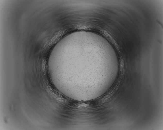 X0000100860257200807111300