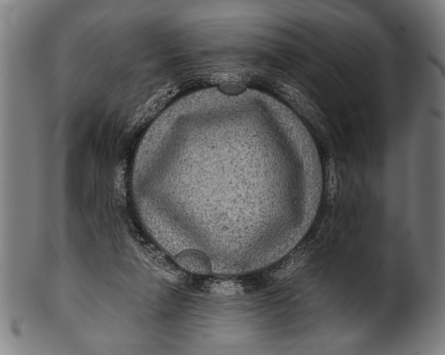 X0000100860258200807111300