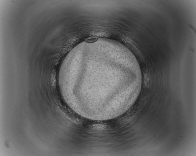 X0000100860259200807111300