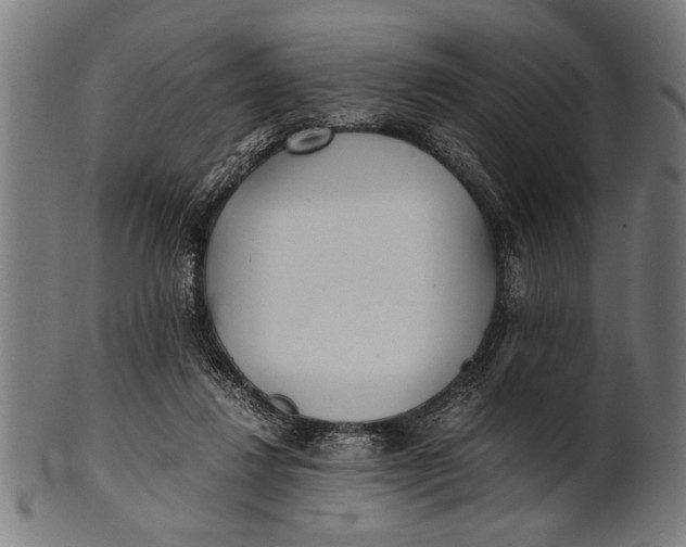 X0000100860260200807111300