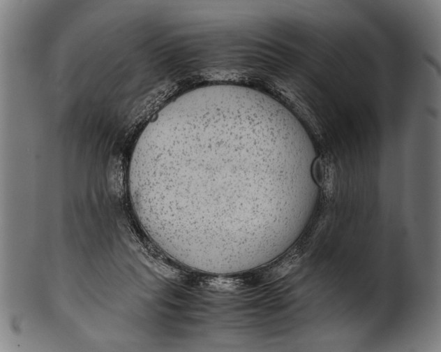 X0000100860261200807111300