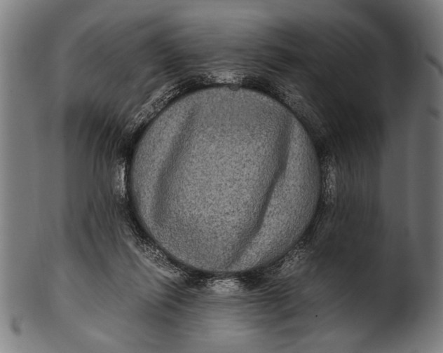 X0000100860262200807111300