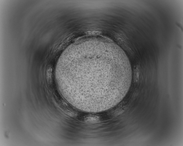 X0000100860263200807111300