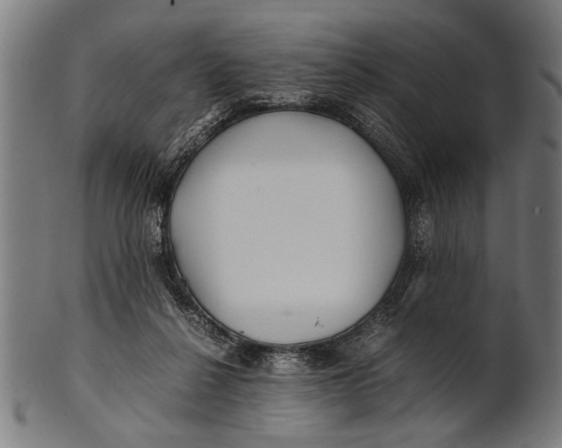 X0000100860264200807111300