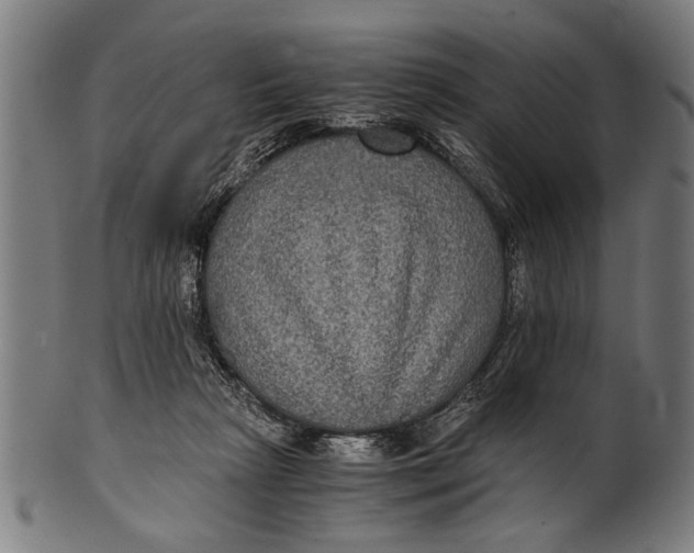 X0000100860265200807111300