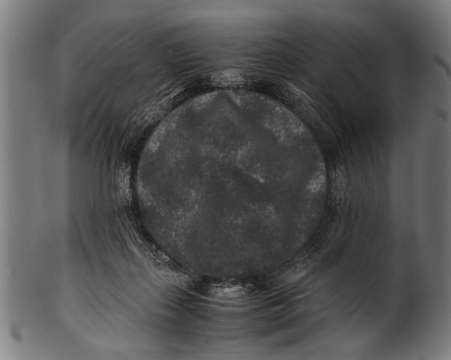 X0000100860267200807111300