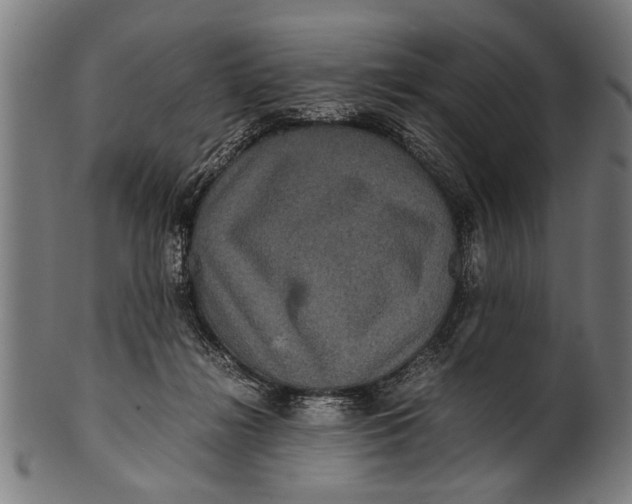 X0000100860268200807111300